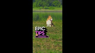 Epic Tips x Galaxy S24 Ultra Make your pics bow WOW  Samsung Indonesia [upl. by Yak]