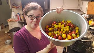 How to can cherry tomatoes easy flavorful and fresh tasting [upl. by Yelssew117]