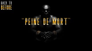 Kaaris x Therapy Music Type Beat  quot PEINE DE MORT quot [upl. by Chaing995]