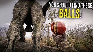 8 Amazing Details amp Easter Eggs in STALKER 2 Secret quotHunting Riflequot SIDOROVICH BALL Harry Potter [upl. by Nodal]