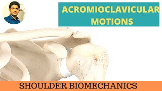 ACROMIOCLAVICULAR MOTIONS SHOULDER BIOMECHANICS [upl. by Phillip898]