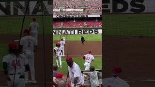 Your 2024 Cincinnati reds redsbaseball [upl. by Erodavlas120]