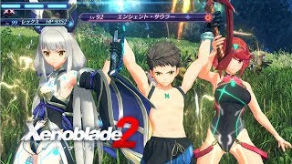 【ゼノブレイド2】全レアブレイド Lv4必殺技集【Xenoblade2Switch】 [upl. by Kaitlin]