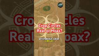 Mysterious Crop Circles Alien Or Hoax mystery cropcircle aliens shorts [upl. by Happy]