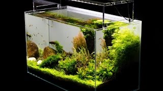 Aquascape Tutorial Guide by James Findley amp The Green Machine Sticks amp Stones [upl. by Newfeld570]