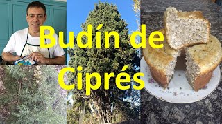 Budín vegano de Ciprés y semillas de chía [upl. by Yadrahs]