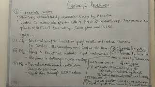 Muscarinic and nicotinic receptors [upl. by Annasus111]