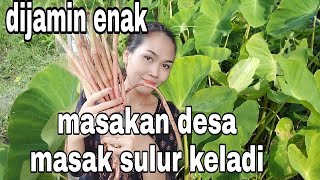 MASAK SULUR KELADI RASANYA BIKIN KETAGIHAN [upl. by Aekerly]