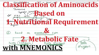 5 Classification of Aminoacids Based on Nutritional Requirement amp Metabolic Fate with MNEMONICS [upl. by Lustick78]