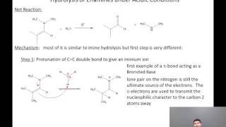 06 13 Enamine Hydrolysis [upl. by Lleynod]