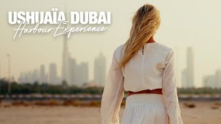 Ushuaïa Dubai Harbour Experience  Launching Winter 24 [upl. by Ecirp501]