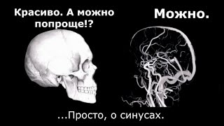 Синусы головного мозга Чем плох застой в полости черепа  Доктор Финагин [upl. by Bullen]