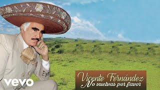 Vicente Fernández  No Vuelvas por Favor Lyric Video [upl. by Buhler861]