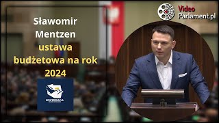 Sławomir Mentzen  ustawa budżetowa na rok 2024 [upl. by Attekram]