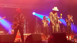 The Dualers  quotGOT THAT SMILEquot  Chelmsford 23 JUL 2022 [upl. by Seyer]