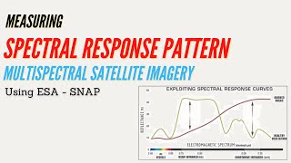 Measuring Spectral Response Pattern of Multispectral Satellite Imagery in ESA SNAP [upl. by Ijuy]