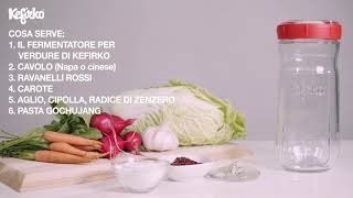 Kimchi  come preparare a casa con il fermentatore per verdure di Kefirko [upl. by Fonsie411]