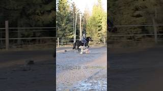 Haluisin jo päästä ratsastaa 🐎💖 [upl. by Sonaj]