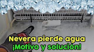 ¿Por qué la nevera pierde agua ✅ Motivo y solución [upl. by Johppah]