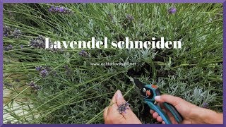 Lavendel schneiden [upl. by Aitan]