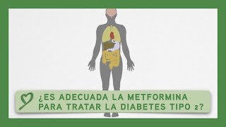 ¿Es adecuada la METFORMINA para tratar la diabetes tipo 2 [upl. by Nnylirak]