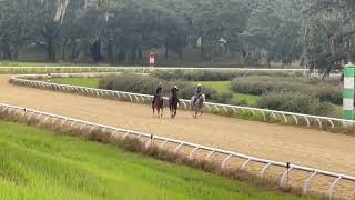 Macleans Music Colt in Ocala [upl. by Marienthal]