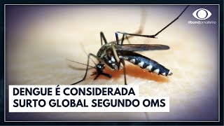 OMS trata dengue como surto global  Jornal da Band [upl. by Brendon591]