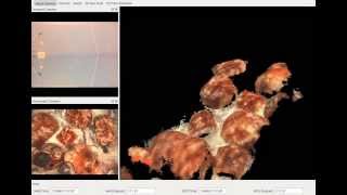 Micro AUV Online 3D Reconstruction using Stereo Vision [upl. by Willey]