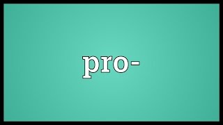 Pro Meaning [upl. by Dorreg]