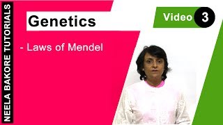 Genetics  Principles of Inheritance amp Variations  NEET  Laws of Mendel  Neela Bakore Tutorials [upl. by Massiw]