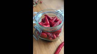 Fermentierte Chilli Part 1 fermenting food darmgesundheit recipe homemade [upl. by Jonah]