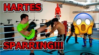 HARTES SPARRING Gym 23  Team Holzken [upl. by Georgianne542]