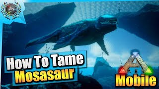 Ark Mobile How To Tame A Max Level Mosasaur Solo EASY iOSAndroid Total Beginners Guide [upl. by Ojeibbob]