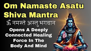 Om Namaste Astu Bhagavan  Lord Shiva Mantra  Cleanse Negative Energy From Life [upl. by Alliehs]