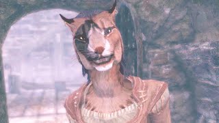 Khajiit that is allowed to enter a city in Skyrim This kitty is very brave [upl. by Aicad]