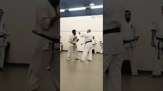 Tips on Kumite Mawashi Geri Techniques Gyaku Tsuki Tactics and Mastering the Match Distance [upl. by Drapehs]