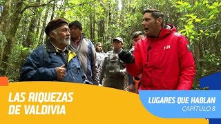 Lugares que Hablan  Temporada 2020  Capítulo 8  Valdivia [upl. by Tommie]