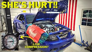 My CHEAP 2003 SVT Cobra has BIG PROBLEMS Hurt Motor [upl. by Bullard]