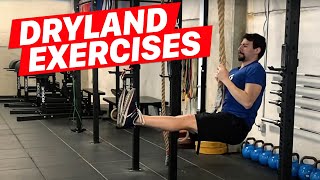 Dryland Exercises for Swimmers [upl. by Yellek661]