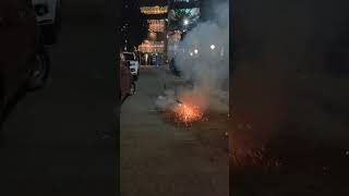 1000 rally fireworks  Happy Diwali 🎇🪔fireworks skyshot diwali special shorts youtubeshorts [upl. by Einnek]