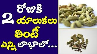 Yalukalu Secret Health Tips In TeluguAmazing Health Benefits Of CardamomElaichi Health Benefits [upl. by Hightower]