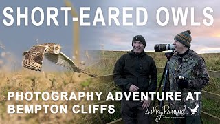 Owl Amazing  Photographing Short Eared Owls [upl. by Booker]