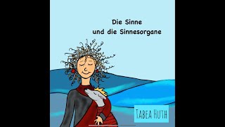 Die Sinne und die Sinnesorgane [upl. by Lempres]