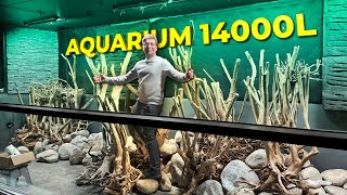 C’est la galère je commence le décor  Aquarium de 14000 Litres 15 tonnes de roches [upl. by Walliw504]