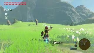 Master Sword Power Up Sound  BOTW [upl. by Bert]