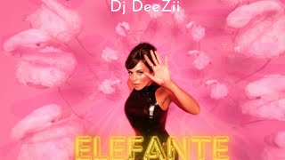 NK Elefante  KizZouk Remix Dj DeeZii [upl. by Faro]