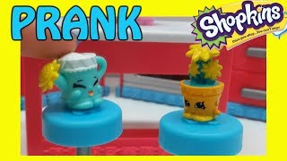 Shopkins Prank Shopkin Videos by Shopnow [upl. by Adok]