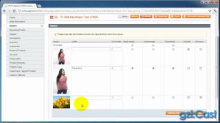 Change Product Image on Magento [upl. by Atilegna802]