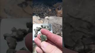 Radioactive Trinitite Trinity Site White Sands NM quotGreen Glassquot [upl. by Adniles]