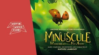 Mathieu Lamboley  Bzzzness Class  From the movie quotMinuscule Mandibles From Far Awayquot [upl. by Selokcin]